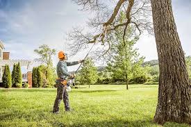 Best Lawn Grading and Leveling  in Shell Point, SC